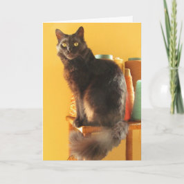 Kaart - groet - Kat met garen