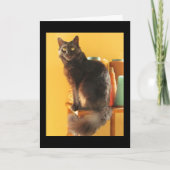 Kaart - Groet - Kat met Garens (Voorkant)