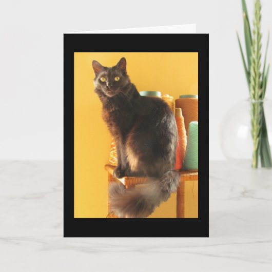 Kaart - Groet - Kat met Garens (Voorkant)