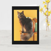 Kaart - Groet - Kat met Garens (Gele Bloem)