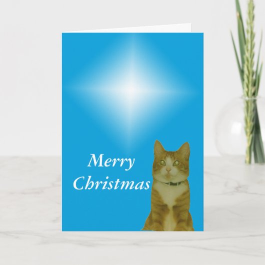 Kaart - Groet - Kerstster (Voorkant)