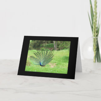 Kaart - Groet - Peacock 2 zijdes