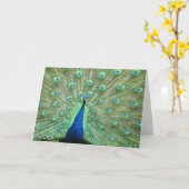 Kaart - groet - Peacock Tail Feathers (Gele Bloem)