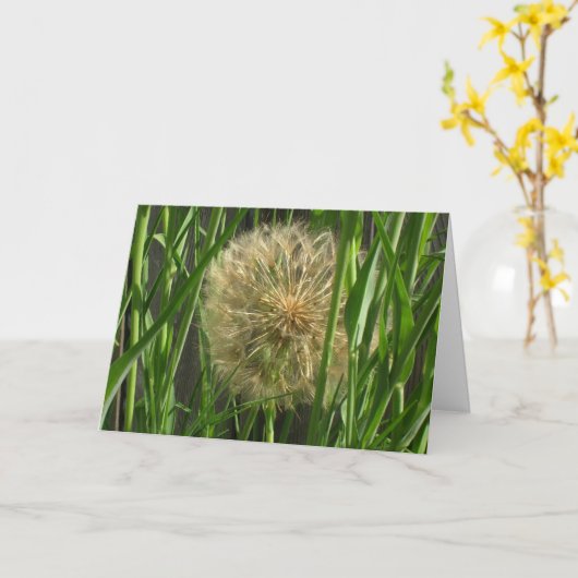 Kaart - Groet - Puff-bal (Gele Bloem)