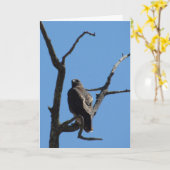 Kaart - Groet - Vogel van Prey (Gele Bloem)