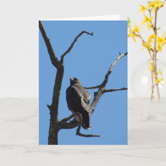 Kaart - Groet - Vogel van Prey (Gele Bloem)