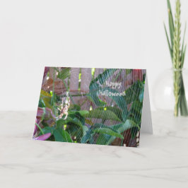 Kaart - Groeten - Spider op internet