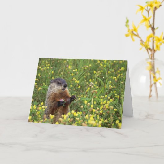 Kaart grondhog (Gele Bloem)