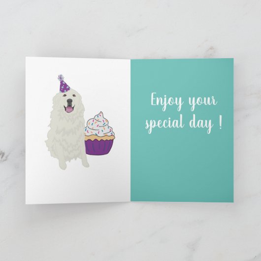 Kaart Grote Pyreneeën (Binnen)