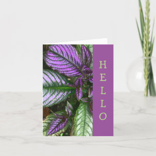 KAART HALLO,"PLANT/PAARSE EN GROENE/PERZISCHE SCHI