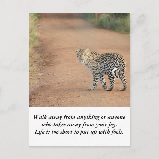 Kaart: Het leven is te kort Briefkaart (Voorkant)