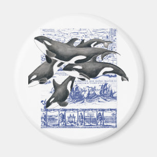 kaart II van Orca Magneet