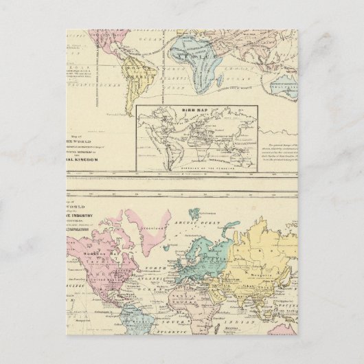 Kaart in kleur van de Wereld (Voorkant)