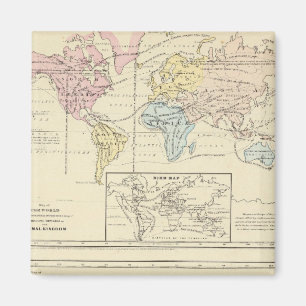 Kaart in kleur van de Wereld Magneet