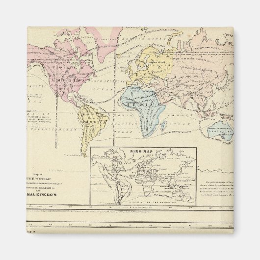 Kaart in kleur van de Wereld Magneet (Voorkant)