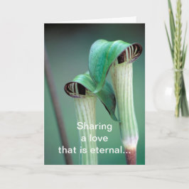 Kaart / Jack-in-the-pulpit