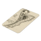 KAART: JAMAICA, 1755 MAGNEET (Linkerzijde)