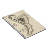 KAART: JAMAICA, 1755 NOTITIEBOEK (Rechterzijde)