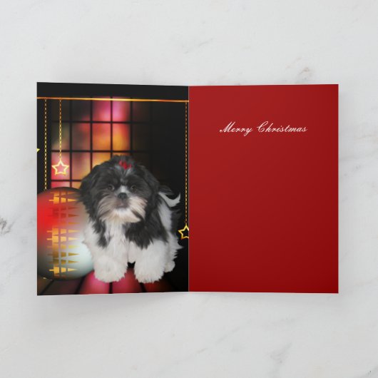 Kaart Kerstmis Dog Shitzu Puppy (Binnen)