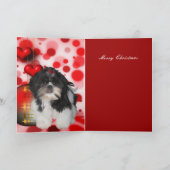 Kaart Kerstmis Dog Shitzu Puppy Pet Hearts (Binnen)