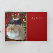 Kaart Kerstmis Xmas Katten Hoed (Binnen)