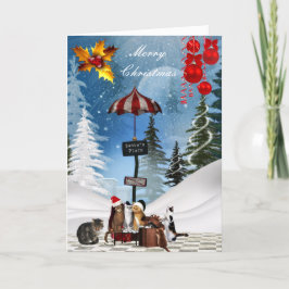 Kaart Kerstmis Xmas Katten Muts Sneeuw