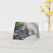 Kaart Kittens (Gele Bloem)