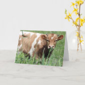 Kaart krijgen (Gele Bloem)