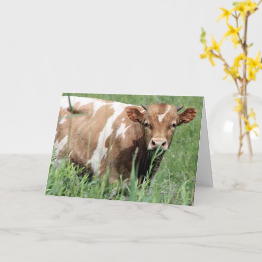 Kaart krijgen (Gele Bloem)