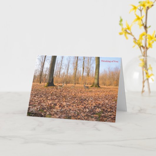 Kaart krijgen (Gele Bloem)