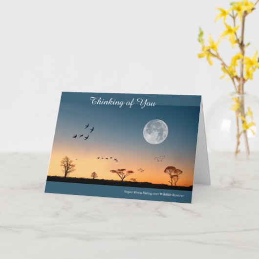 Kaart krijgen (Gele Bloem)