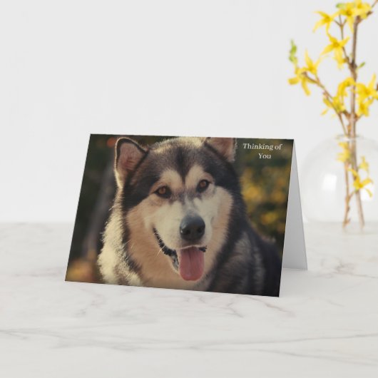 Kaart krijgen (Gele Bloem)