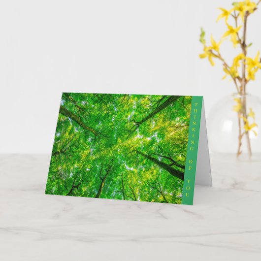 Kaart krijgen (Gele Bloem)