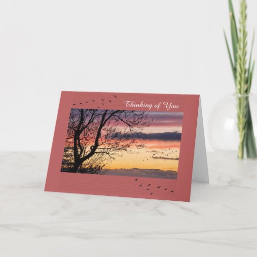 Kaart krijgen (Voorkant)