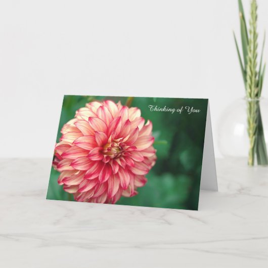 Kaart krijgen (Voorkant)