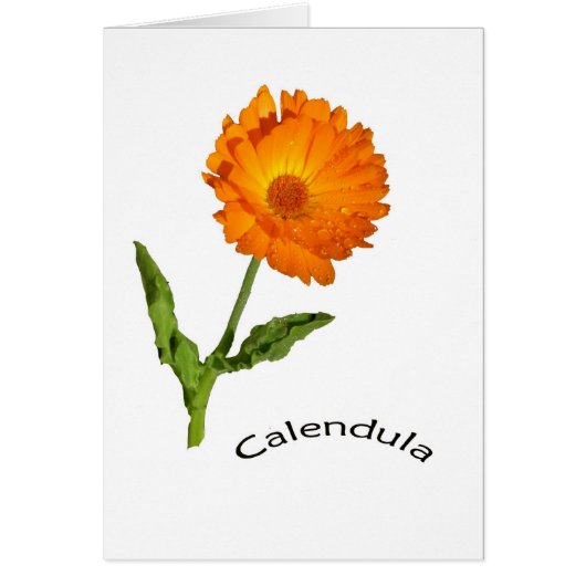 Kaart - leeg - Calendula met label (Voorkant)