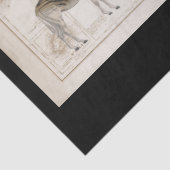 kaart Lion Leopard Giraffe Afrika ontkoppeling Tissuepapier (Detail)