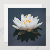 KAART : LOTUS OP WATER (Voorkant / Achterkant)