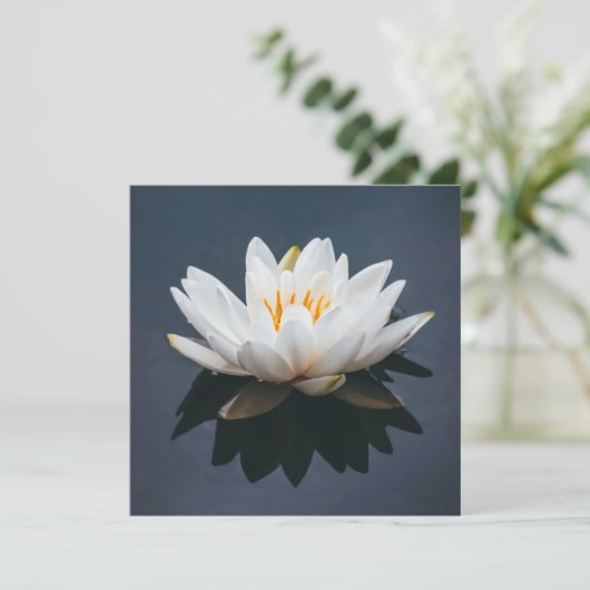 KAART : LOTUS OP WATER (Staand voorkant)