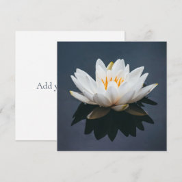 KAART : LOTUS OP WATER