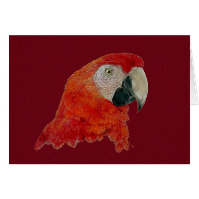 Kaart - Macaw (Voorkant Horizontaal)