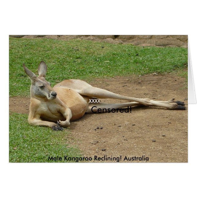 Kaart Mannelijke Kangoeroe Leunend! Australië (Voorkant Horizontaal)
