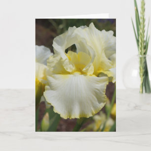 Kaart met bloemen voor speciale gelegenheden op ma