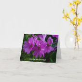 Kaart met boommalva (Gele Bloem)