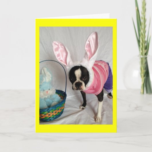 Kaart met Boston Terrier Bunny (Voorkant)