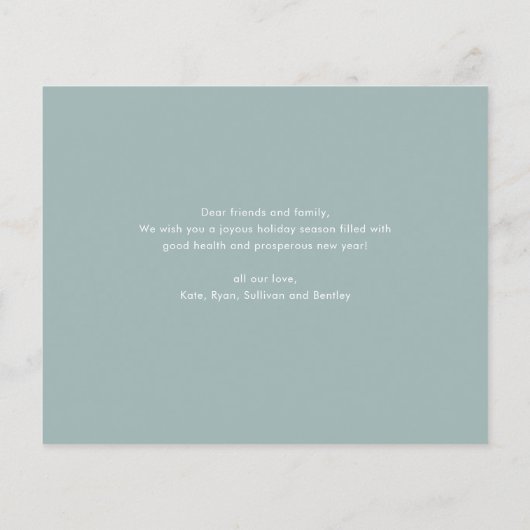 Kaart met budgettype voor kerstfeestdag (Achterkant)