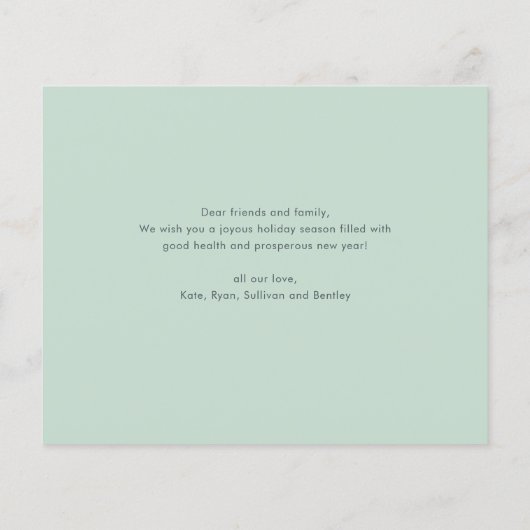 Kaart met budgettype voor kerstfeestdag (Achterkant)