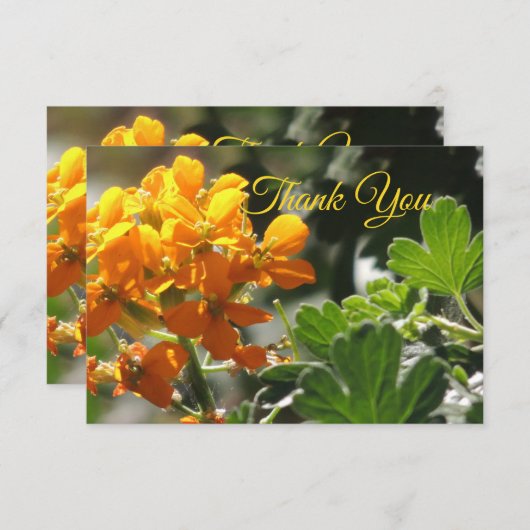 Kaart met dank voor Wild Flower Flat (Voorkant / Achterkant)