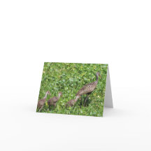 Kaart met de Schrift