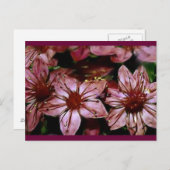 Kaart met gebilde rode bloemen (Voorkant / Achterkant)